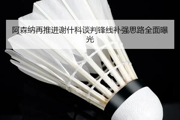 阿森纳再推进谢什科谈判锋线补强思路全面曝光